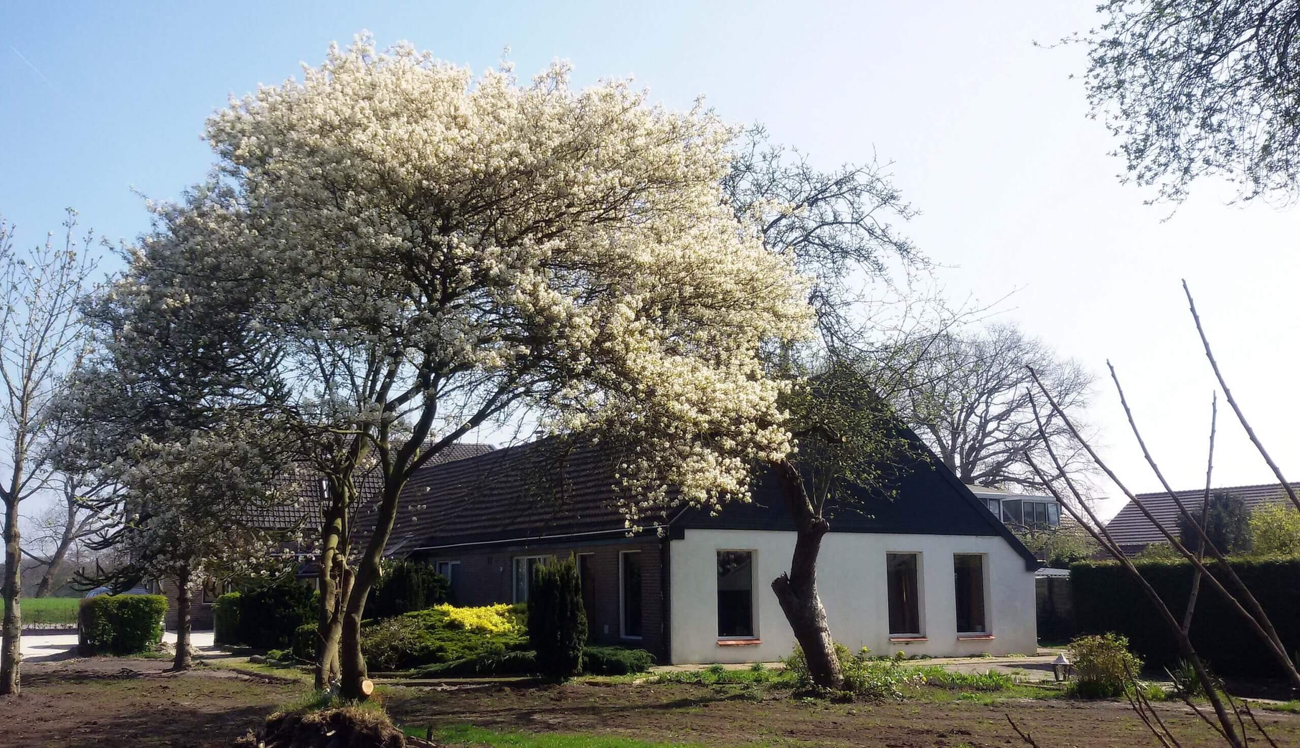 praktijk tineke van urk oud avereest 16 balkbrug