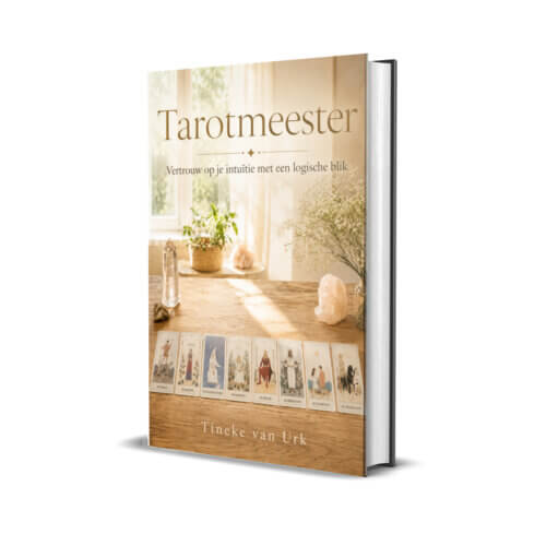 Tarot Meester (E-boek, pdf)