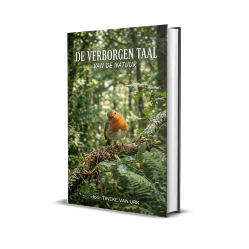 Verborgen taal van de natuur (E-boek, pdf)
