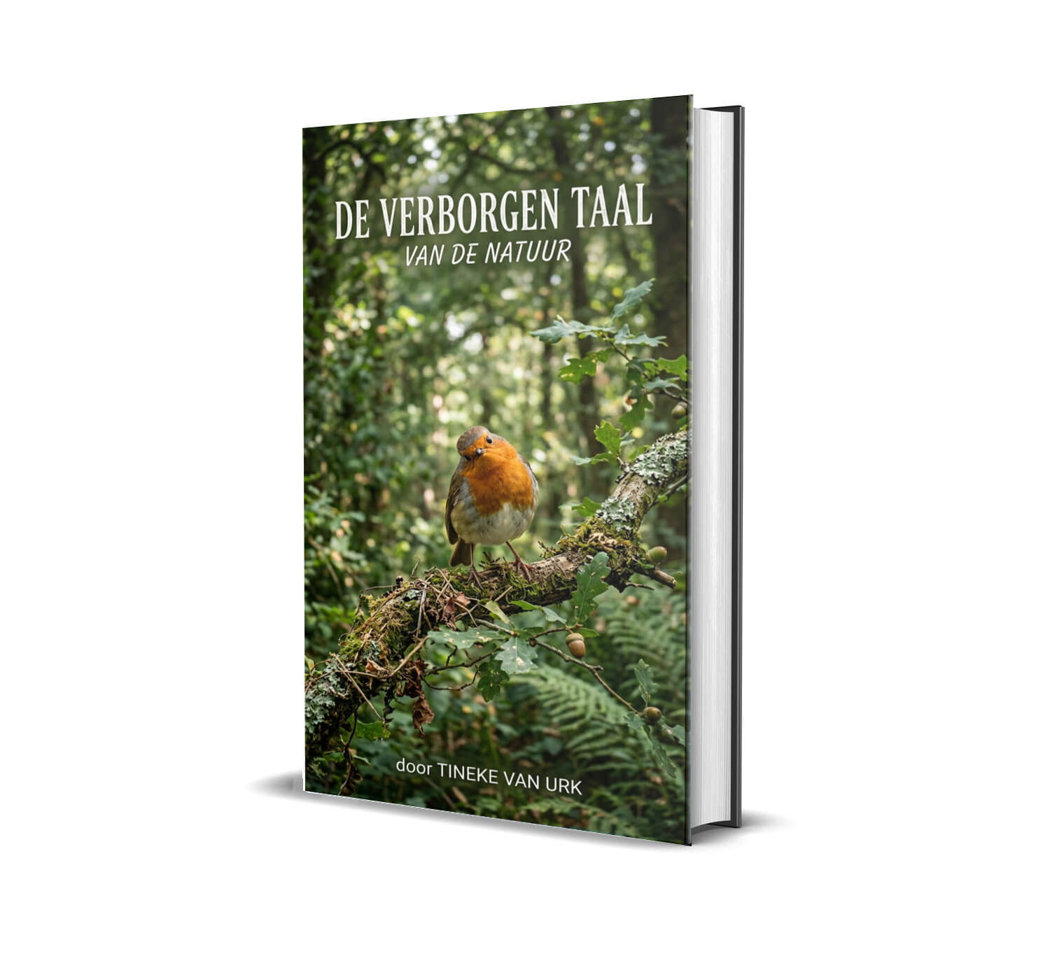 Verborgen taal van de natuur (E-boek, pdf)