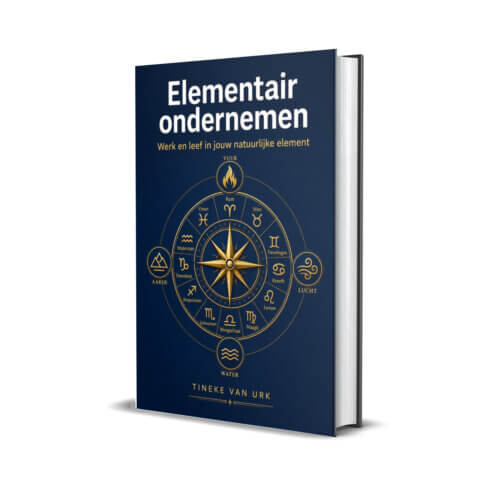Elementair Ondernemen (E-boek, PDF)