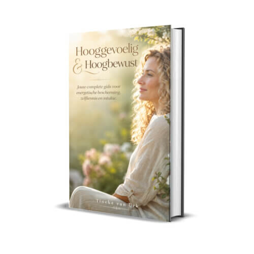 Hooggevoelig & Hoogbewust (E-boek PDF)