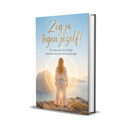 Zeg ja tegen jezelf (E-boek, PDF)