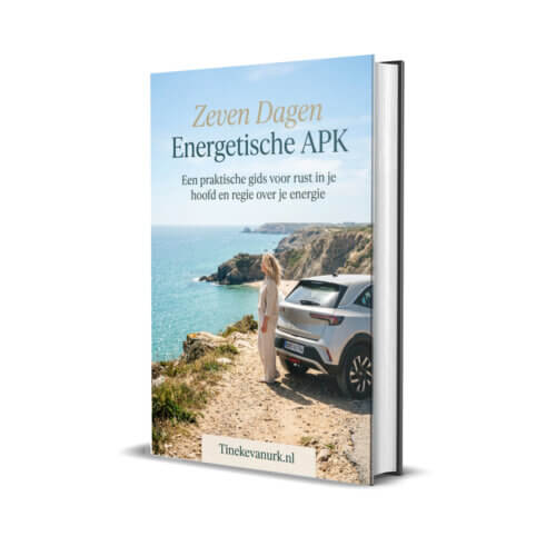 Zeven dagen energetische APK (E-boek, PDF)