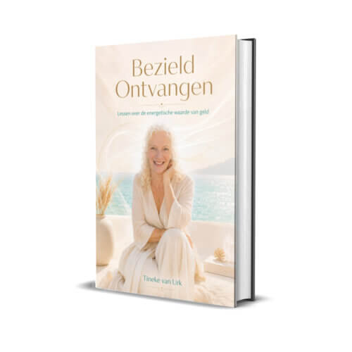 Bezield ontvangen (E-boek, pdf)
