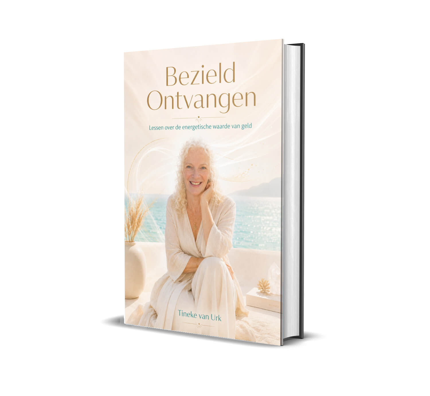 Bezield ontvangen (E-boek, pdf)